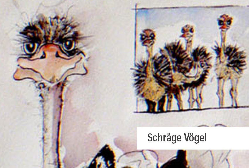 Aquarell Strauss, mit einem kleinen Nebenaquarell auf dem Selben Bild, mit weiteren kleinen und grossen Straussen. Alle Vöglel  sehen leicht verträumt aus, mit Ihren grossen Augen und langen Wimpern, Minka Seifert, Köln